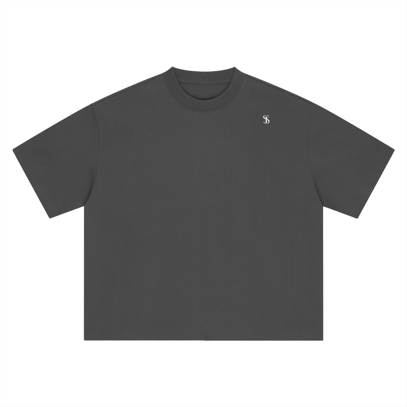 Boxy Oversized  John 14:6 T-Shirt